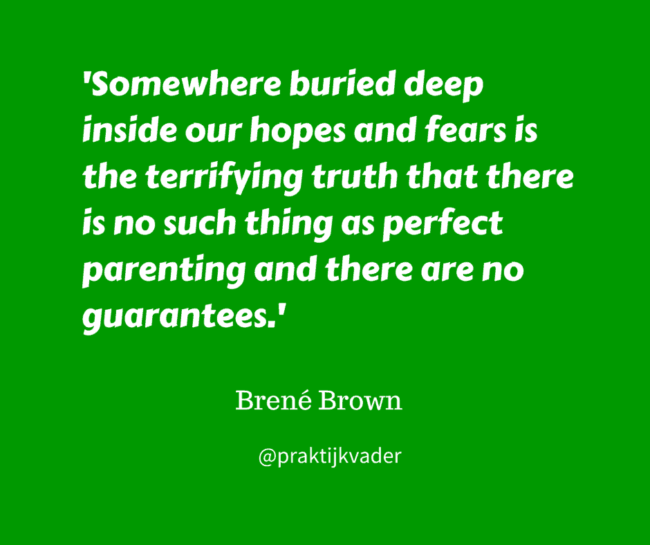 brene brown praktijkvader