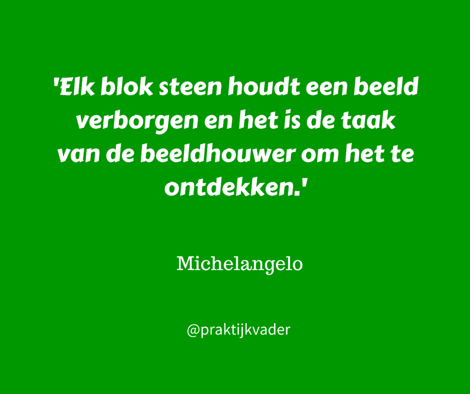 michelangelo praktijkvader