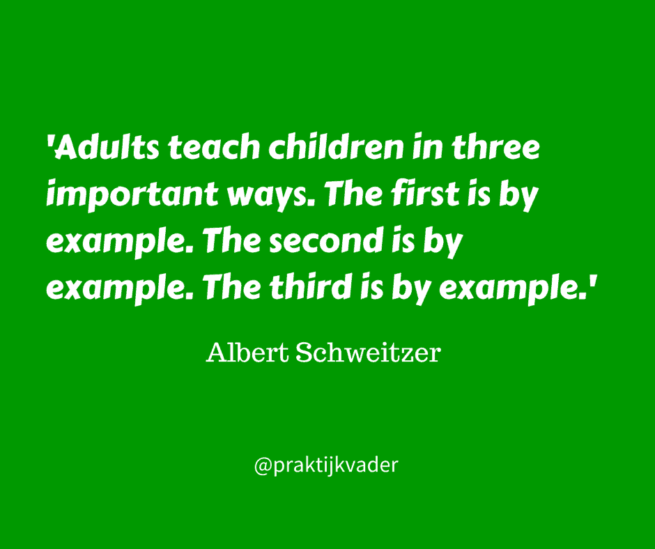 schweitzer praktijkvader
